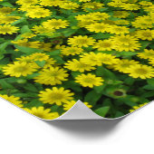 Hübsche kleine gelbe Blumen Poster (Ecke)
