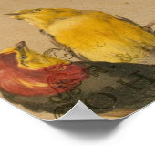 Hübsche kleine Vintage Vögel Poster (Ecke)