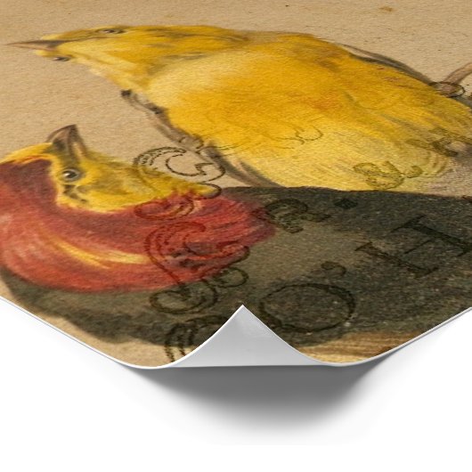 Hübsche kleine Vintage Vögel Poster (Ecke)