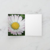 Hübsche Kneipe (Innenseite)