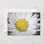 Hübsche Kneipe (Vorderseite)