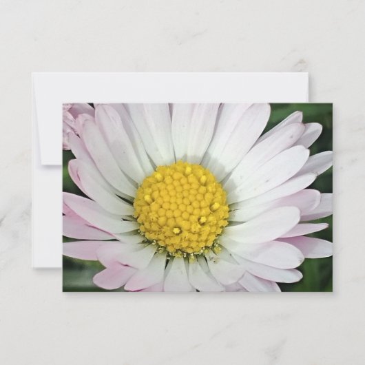 Hübsche Kneipe (Vorderseite)