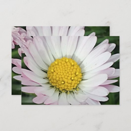 Hübsche Kneipe (Vorne/Hinten)