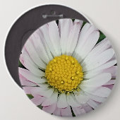 Hübsche Kneipe Button (Vorne & Hinten)