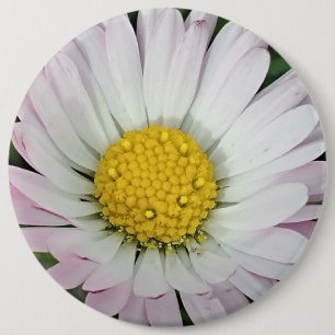 Hübsche Kneipe Button