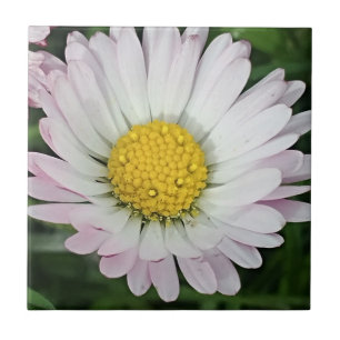 Hübsche Kneipe Fliese
