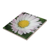 Hübsche Kneipe Fliese (Seite)