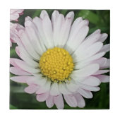 Hübsche Kneipe Fliese (Vorderseite)