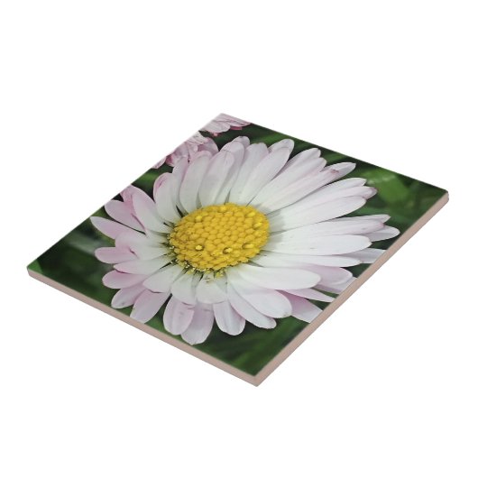 Hübsche Kneipe Fliese (Seite)