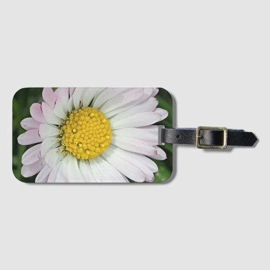 Hübsche Kneipe Gepäckanhänger (Vorderseite (Horizontal))