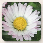 Hübsche Kneipe Getränkeuntersetzer (Vorderseite)