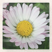 Hübsche Kneipe Glasuntersetzer (Vorderseite)