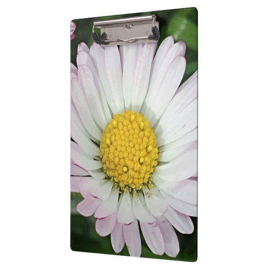 Hübsche Kneipe Klemmbrett (Links)