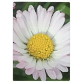 Hübsche Kneipe Klemmbrett (Rückseite)