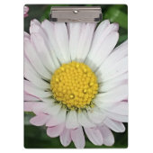 Hübsche Kneipe Klemmbrett (Vorderseite)