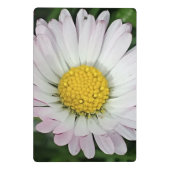 Hübsche Kneipe Mini Klemmbrett (Rückseite)