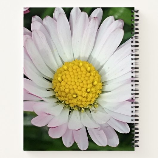 Hübsche Kneipe Notizblock (Rückseite)