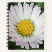 Hübsche Kneipe Notizblock (Vorderseite)