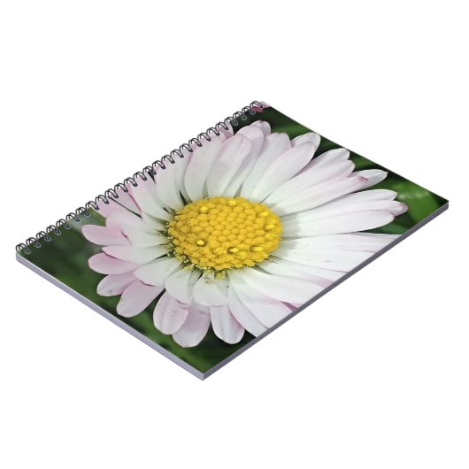 Hübsche Kneipe Notizblock (Linke Seite)