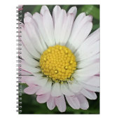 Hübsche Kneipe Notizblock (Vorderseite)