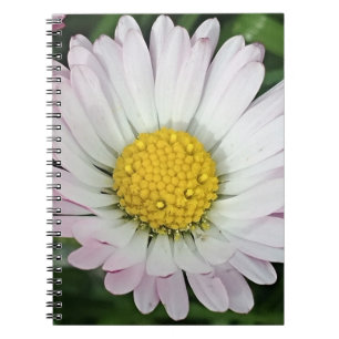 Hübsche Kneipe Notizblock