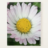 Hübsche Kneipe Planer (Rückseite)