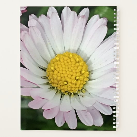 Hübsche Kneipe Planer (Rückseite)