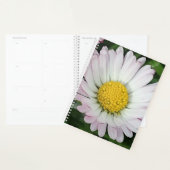 Hübsche Kneipe Planer (Anzeige)