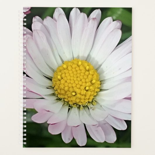 Hübsche Kneipe Planer (Vorderseite)