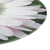 Hübsche Kneipe Schneidebrett (Ecke)