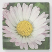 Hübsche Kneipe Steinuntersetzer (Vorderseite)