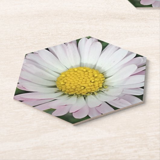 Hübsche Kneipe Untersetzer (angewinkelt)