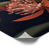 Hübsche, kreative Schmetterlingsdarstellung Poster (Ecke)