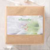 Hübsche Labels der Weißen Osterlilie (Insitu)