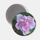 Hübsche Lady 092 Magnet (Vorderseite/Rückseite)