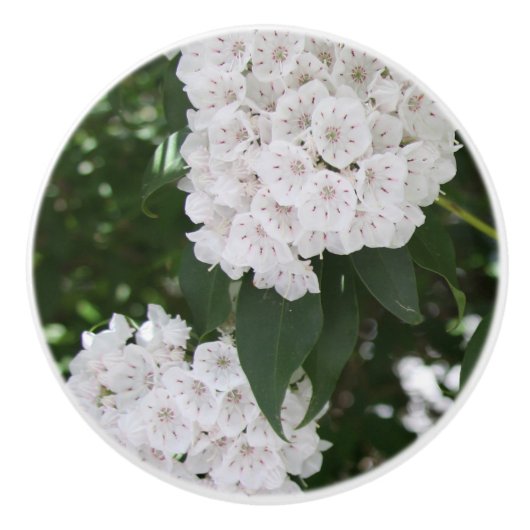 Hübsche Laurel-Blume Keramikknauf (Vorderseite)