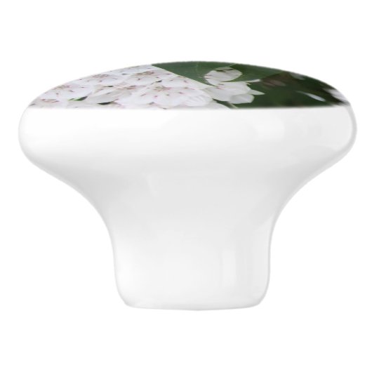 Hübsche Laurel-Blume Keramikknauf (Seitenansicht)