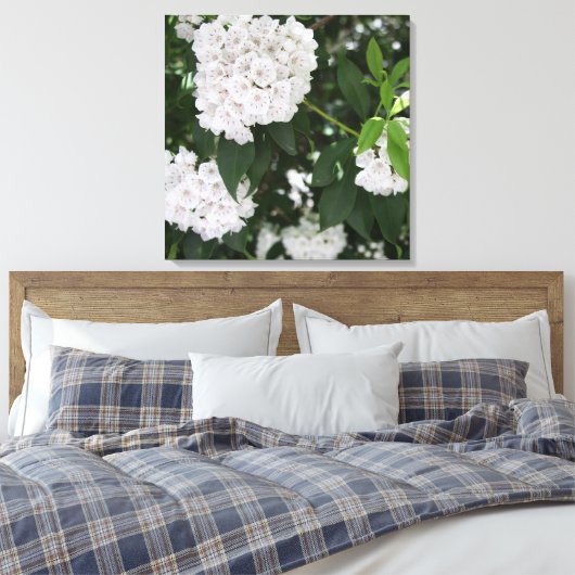 Hübsche Laurel Weiße Blume Leinwanddruck (Insitu (Schlafzimmer))