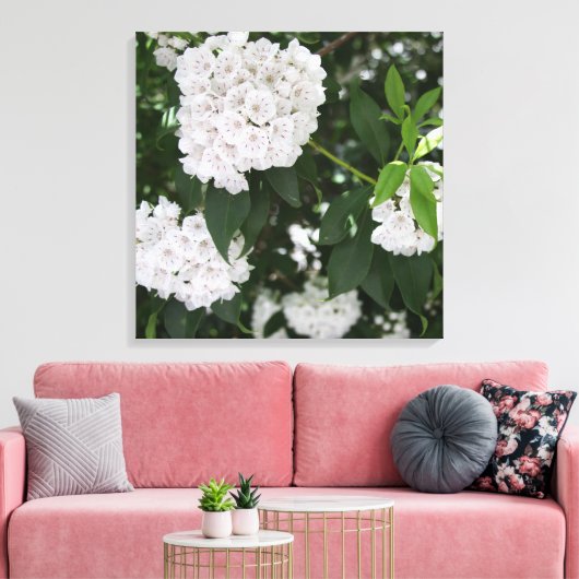 Hübsche Laurel Weiße Blume Leinwanddruck (Insitu (Wohnzimmer))