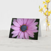 Hübsche Lila Afrikanische Daisy-Blume Art Card Karte (Gelbe Blume)