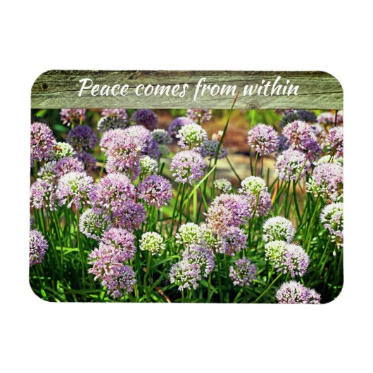 Hübsche Lila Allium Garden Blume Motivierend Magnet (Horizontal)