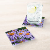 Hübsche Lila Aster Glasuntersetzer (Schrägansicht)
