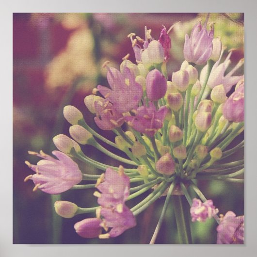 Hübsche Lila Blume Poster (Vorne)