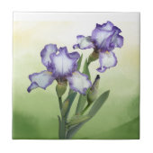Hübsche Lila Blume White Iris Garden Fliese (Vorderseite)