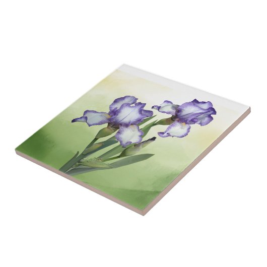 Hübsche Lila Blume White Iris Garden Fliese (Seite)