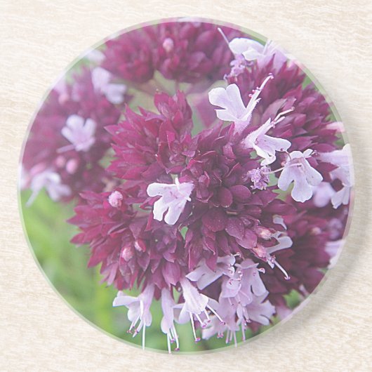 Hübsche lila Blumenkugel Getränkeuntersetzer (Vorne)