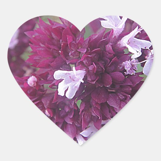 Hübsche lila Blumenkugel Herz-Aufkleber (Vorderseite)
