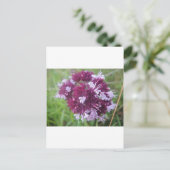 Hübsche lila Blumenkugel Postkarte (Stehend Vorderseite)