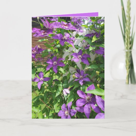 Hübsche Lila Clematis Blankenblase Karte (Vorderseite)