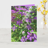 Hübsche Lila Clematis Blankenblase Karte (Gelbe Blume)